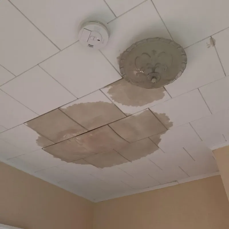 Ceiling Water Damage Repair in Amory, MS