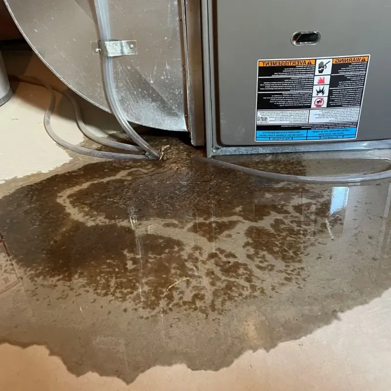 Pipe Burst and Leak Restoration in Amory, MS