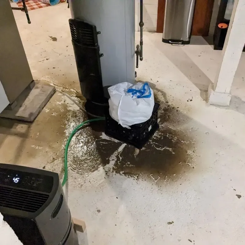 Sewage Backup Cleanup Service in Amory, MS